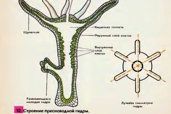 Кракен почему пользователь не найден